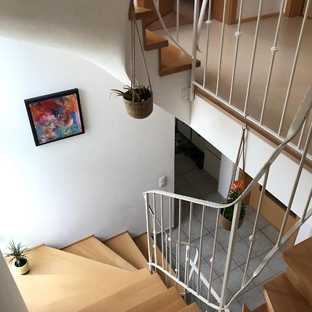 Apartament House With Castle View & Art Günzburg Zewnętrze zdjęcie